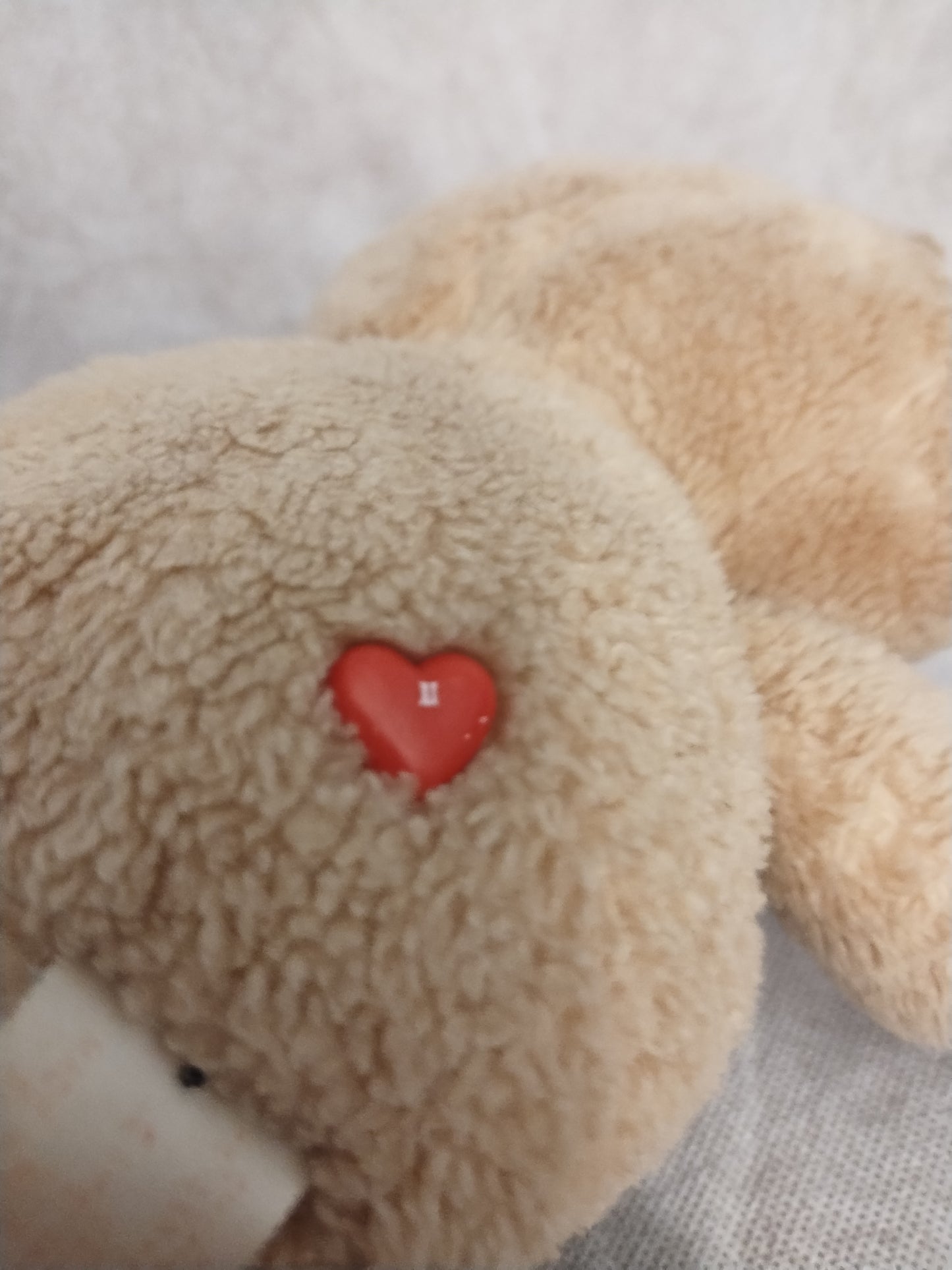 Care Bears Plush - Tenderheart Bear