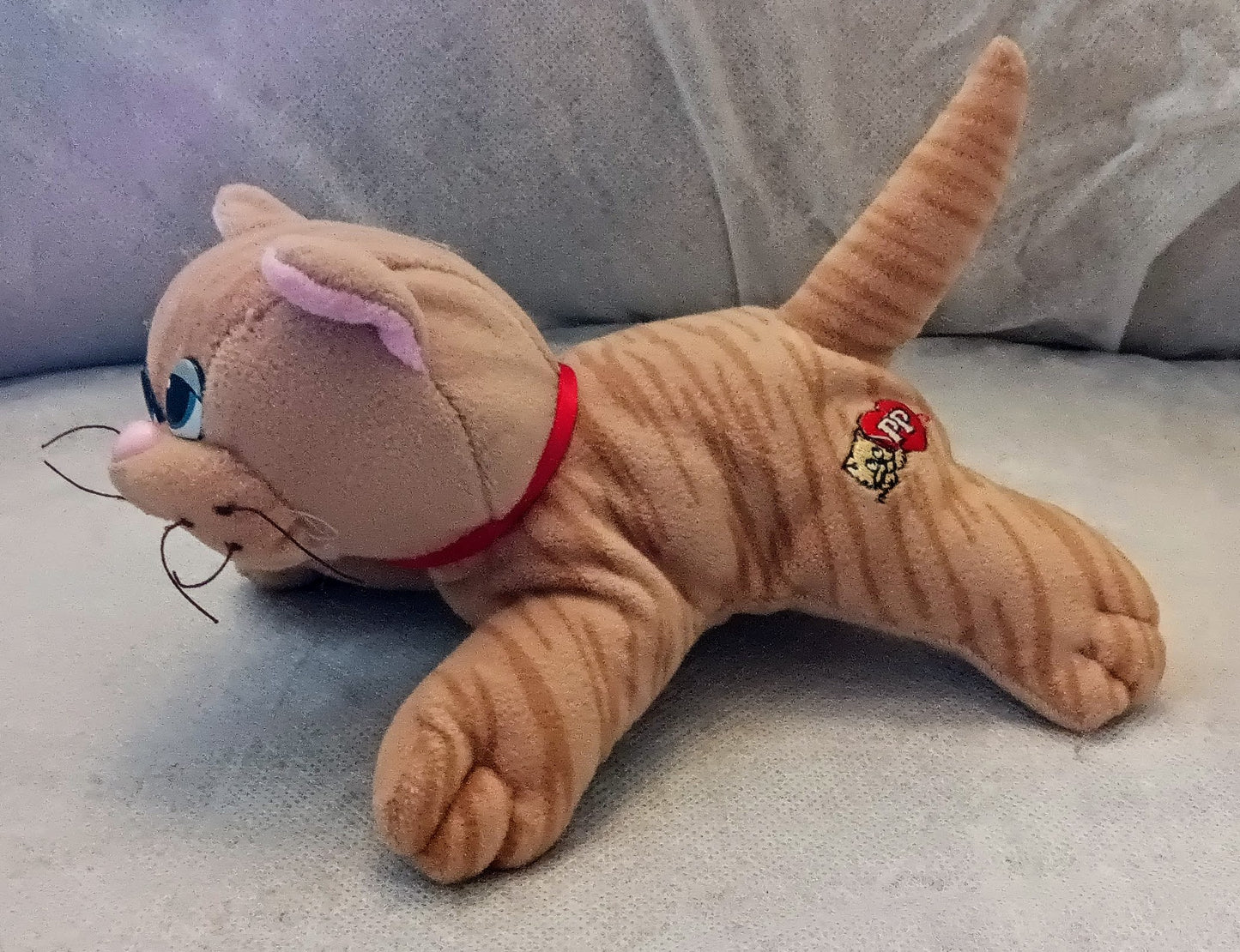 Pound Purries Newborns - Striped Cat