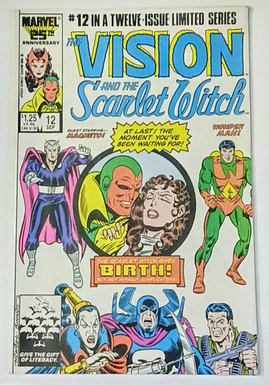 Marvel Comics: Vision and the Scarlet Witch V2 #12