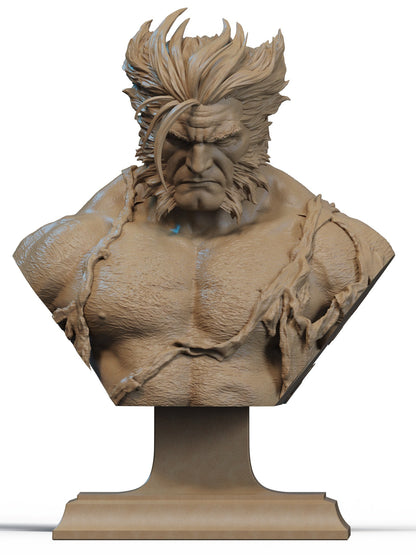 Marvel Comics Statue - Old Man Logan (1:6, 1:9 Scale & Bust)