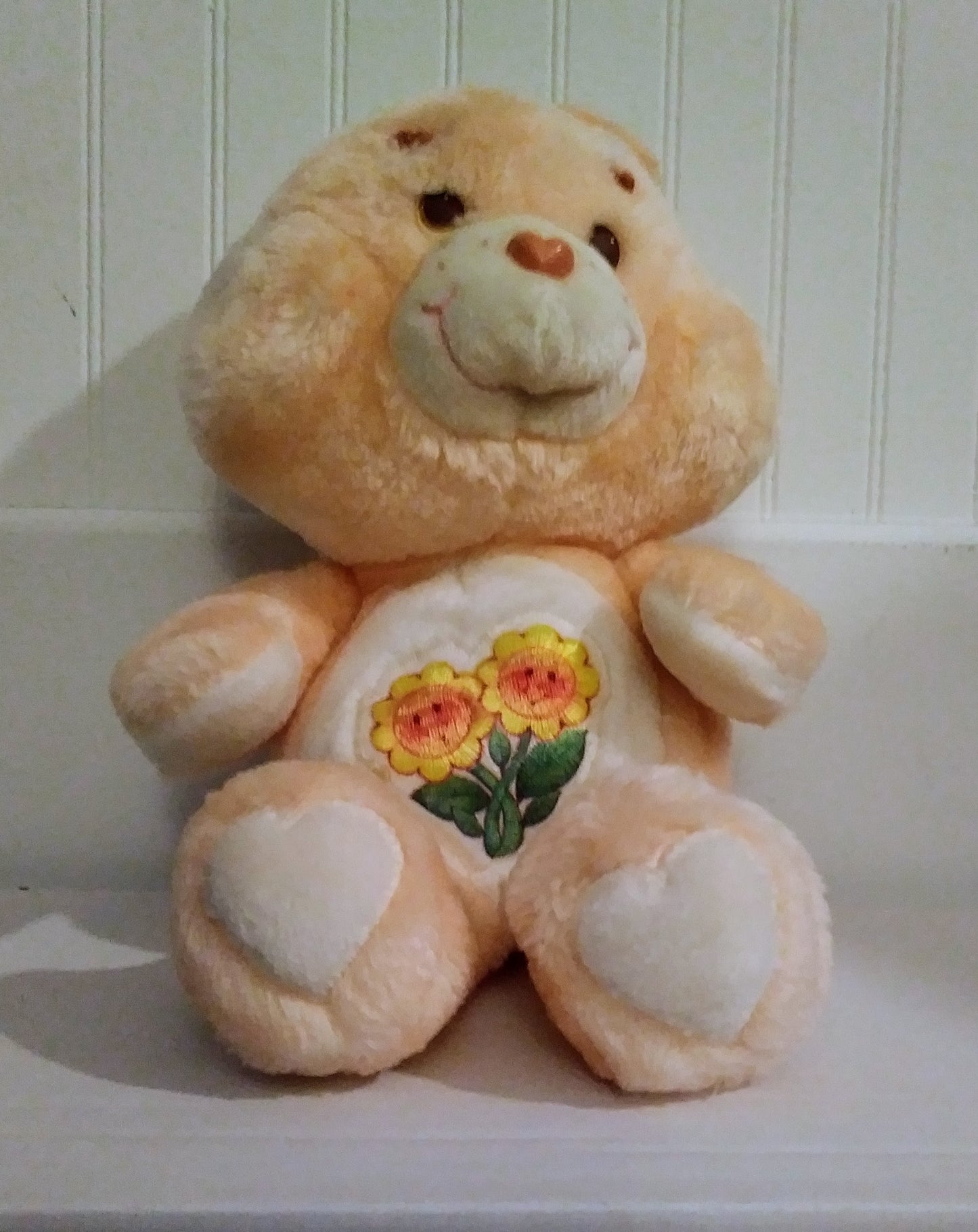 Care Bears Plush - Friend Bear
