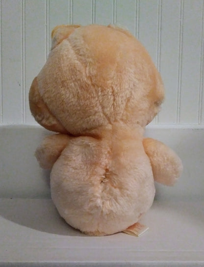 Care Bears Plush - Friend Bear