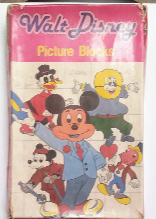 Walt Disney Picture Blocks